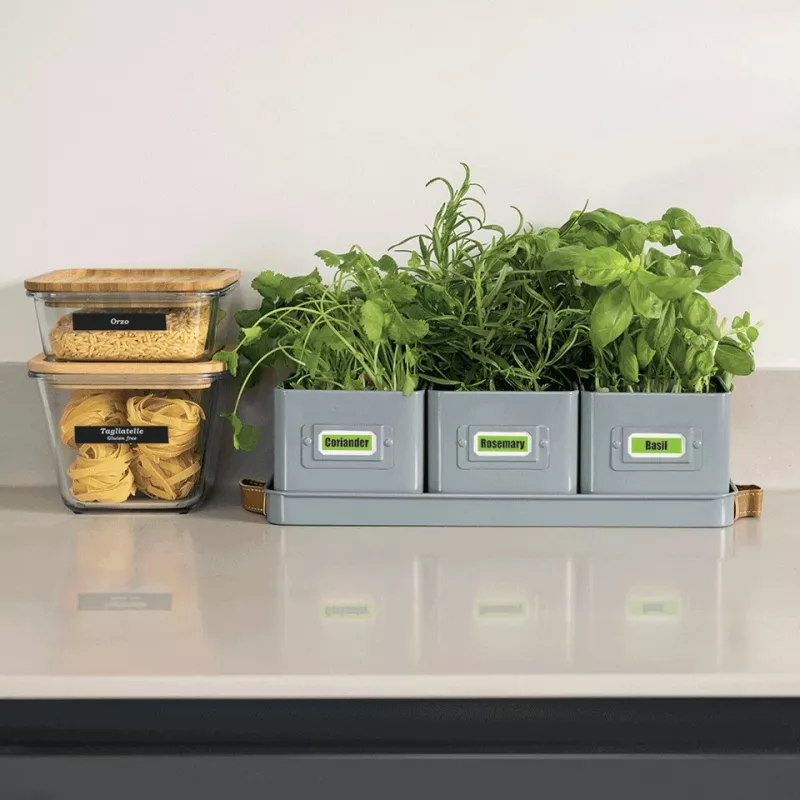 Nastro per etichette Brother BTAG-G31 nero su verde 1,2 cm 4 m
