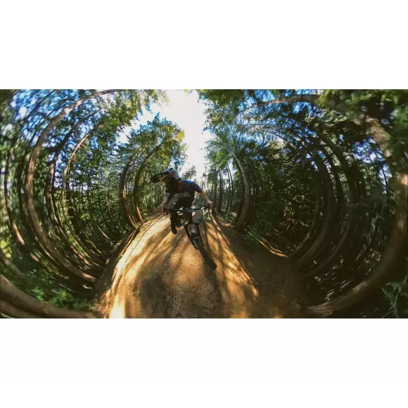 Asta di prolunga GoPro Boom AEXTM-001