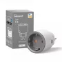 Smart presa Sonoff S60 16A con Wi-Fi, controllo remoto e monitoraggio energia