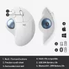 Mouse Logitech ERGO M575 Wireless Trackball RF Wireless + Bluetooth