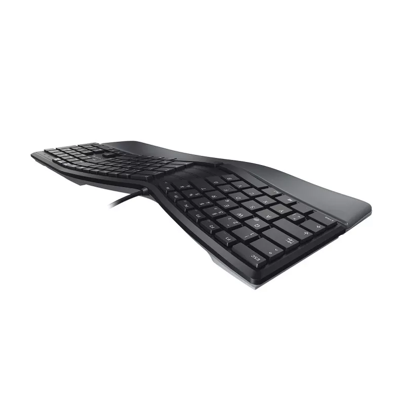 Tastiera CHERRY KC 4500 ERGO universale USB QWERTY US inglese nero