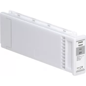 Epson confezione singola grigio T800900 UltraChrome PRO 700 ml