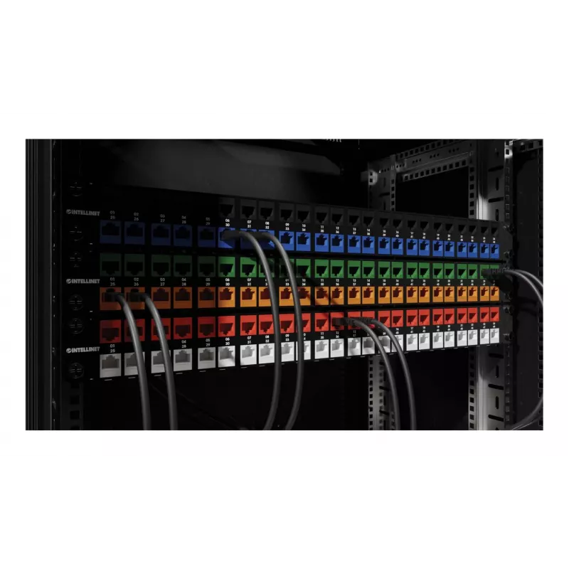 Intellinet 791298 modulo keystone