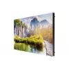 Monitor Samsung LH025IEACLS 25 pollici trasparente Mesh LED 384 x 216