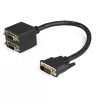 StarTech.com cavo splitter video digitale DVI-D a 2x DVI-D 30cm (1 ft) - M/F~1 ft DVI-D a 2x DVI-D cavo splitter video digitale - M/F