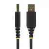 StarTech.com cavo adattatore da USB a seriale 3 m, mantenimento COM, viti/dadi sostituibili, da USB-A a DB9 RS232, IC FTDI, protezione ESD, Windows/macOS/Linux
