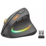 Mouse SPEEDLINK SL-630026-BK RF wireless ottico