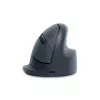 R-Go Tools mouse verticale R-Go HE Basic, mouse ergonomico, medio (dimensione mano ≥ 185 mm), per destrorsi, Bluetooth, grigio