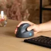 R-Go Tools mouse verticale R-Go HE Basic, mouse ergonomico, medio (dimensione mano ≥ 185 mm), per destrorsi, Bluetooth, grigio