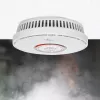 Nedis DTCTCS10WT Rilevatore combinato di fumo e monossido di carbonio, bianco