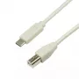 LogiLink CU0160 cavo USB 2.0 da USB-C a USB-B, 1 m, grigio