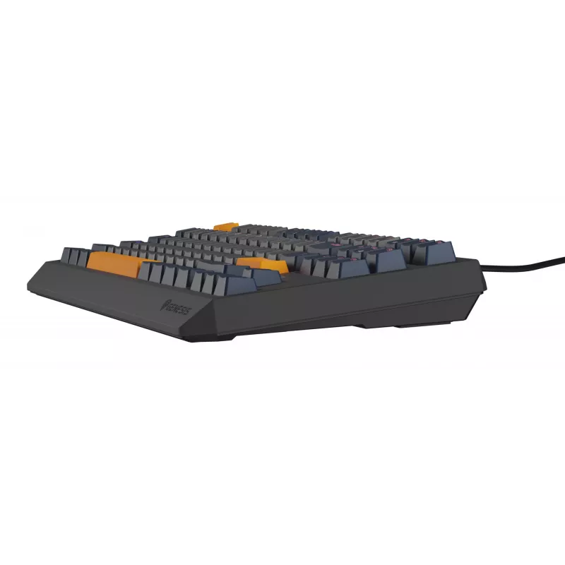 Tastiera GENESIS Thor 230 TKL gaming USB QWERTY inglese blu
