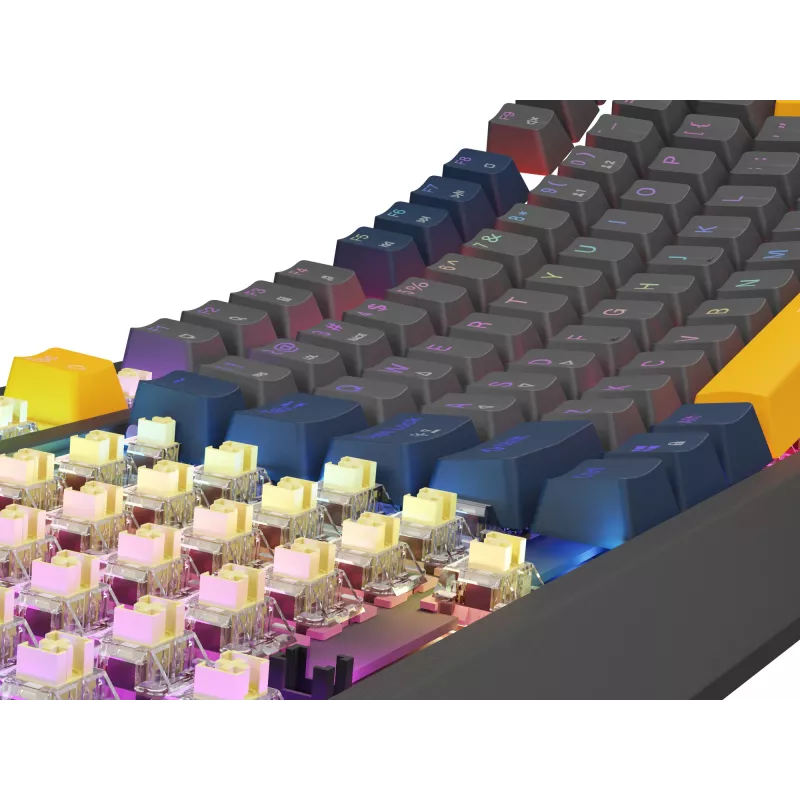 Tastiera GENESIS Thor 230 TKL gaming USB QWERTY inglese blu