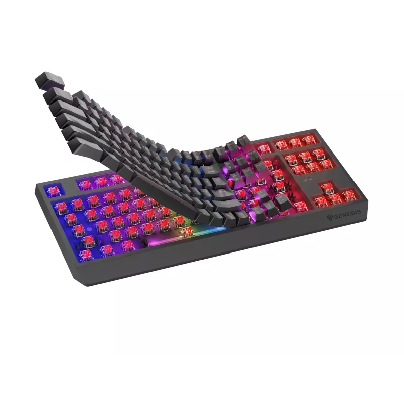 Tastiera gaming meccanica tenkeyless GENESIS Thor 230 TKL — USB, RF wireless, Bluetooth, 87 tasti QWERTY, grigio