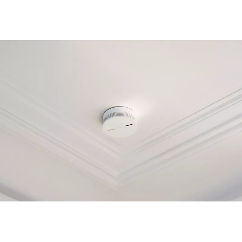 Netatmo NA-NSA-EC connessione wireless interconnetibile