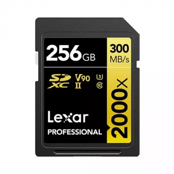 Scheda di memoria Lexar 256 GB SDXC Class 10 LSD2000256G-BNNNG