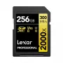 Scheda di memoria Lexar 256 GB SDXC Class 10 LSD2000256G-BNNNG