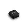 Cuffie Marshall Minor IV cuffie wireless