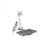 ICY BOX IB-MS600-W 61 cm (24 pollici) supporto a parete grigio, argento, bianco