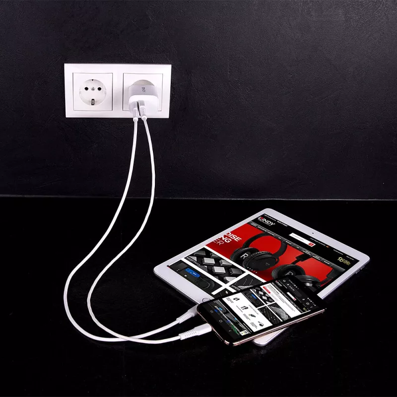 Lindy 73413 caricatore USB-A e USB-C, 20 W, Power Delivery, 100–240 V, bianco