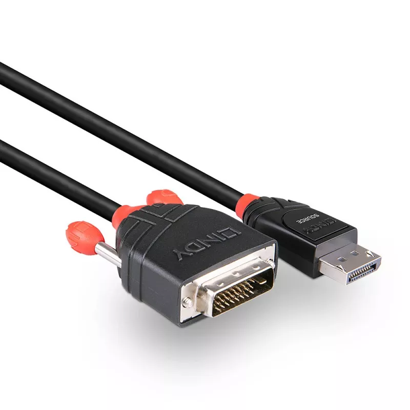Cavo DisplayPort a DVI-D Lindy 2 m