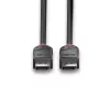 Lindy cavo DisplayPort 1.2 1,5 m, Black Line