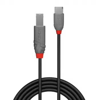 Cavo USB 2.0 Type-C a B Lindy 36940 0,5 m Anthra Line