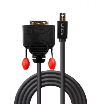 Lindy cavo Mini DisplayPort a DVI 2 m, nero