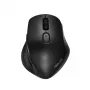 Mouse ASUS MW203 ufficio destrorso RF wireless + Bluetooth ottico 2400 DPI