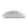 Mouse ASUS Wireless MD102 universale destrorso RF wireless + Bluetooth ottico 1600 DPI