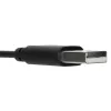 Targus AEH102GL cuffie con filo archetto chiamate/musica USB Type-A nero