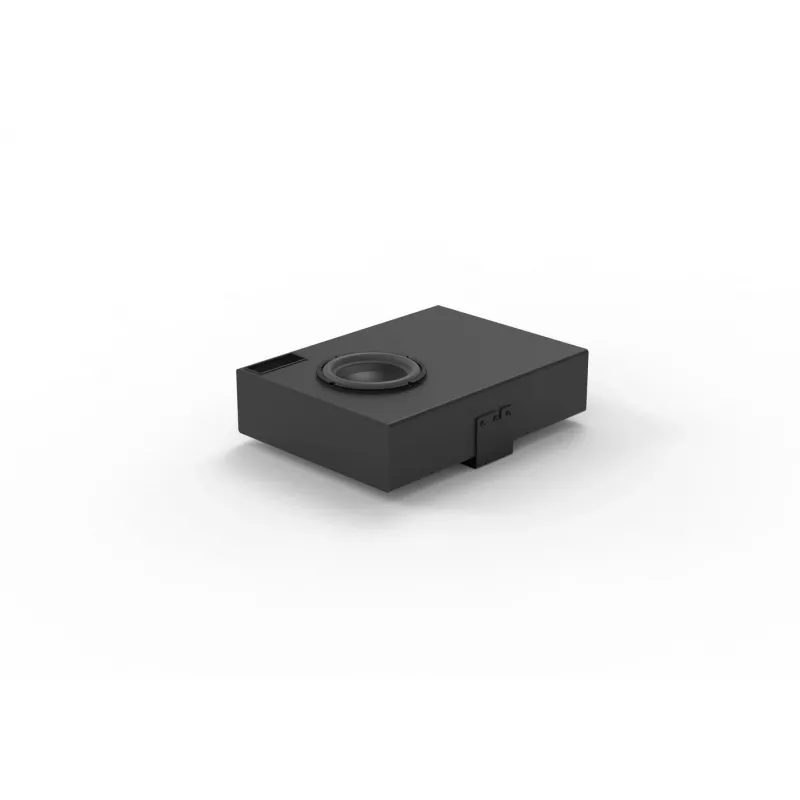 Diffusore Vivolink AUDIOPACK2
