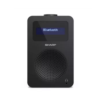 Personalradio Sharp DR-430 Sintonizzatore digitale DAB DAB+ FM