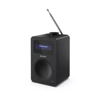 Personalradio Sharp DR-430 Sintonizzatore digitale DAB DAB+ FM