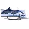 ALOGIC MV2 con filo USB 3.2 Gen 1 Type-C Ethernet 1000 Mbit/s