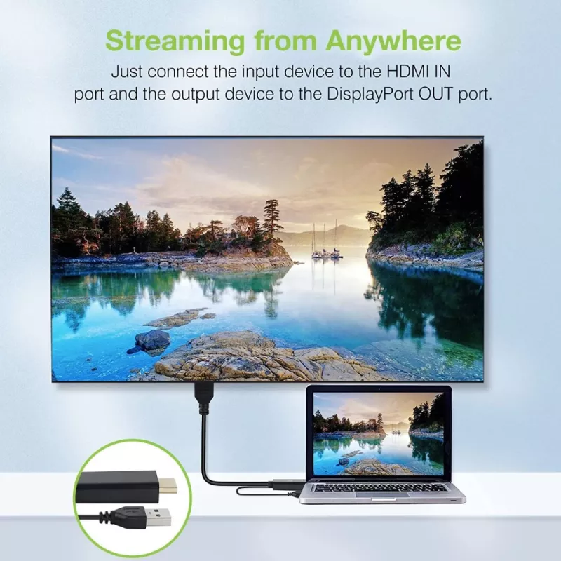 Techly ICOC-HDMI-DP12A adattatore da HDMI a DisplayPort con alimentazione USB, 4K 30 Hz
