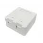 Lanview LVN127767 Scatola di connessione 2 x RJ-45 bianco