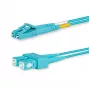 Cavo in fibra ottica InfiniBand Lanview LVO231303 2 m 2x LC 2x SC acqua