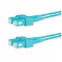 Cavo in fibra ottica InfiniBand Lanview LVO231476 10 m 2x SC color acqua