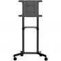 StarTech.com carrello TV mobile - supporto TV portatile su ruote per display VESA 37-70 pollici (154lb/70kg) - supporto TV con ripiano e vano portaoggetti - display girevole/inclinabile - supporto TV universale su ruote
