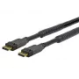 Vivolink PRODPAM10 cavo DisplayPort 10 m nero