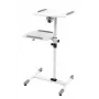 Vivolink VLPS100 supporto per proiettore da pavimento bianco