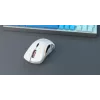 Glorious Gaming Glorious Model D Wireless - bianco opaco, per destrorsi, RF Wireless, 19000 DPI, bianco