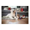 Philips PowerPro Expert aspirapolvere senza sacchetto FC9729/09