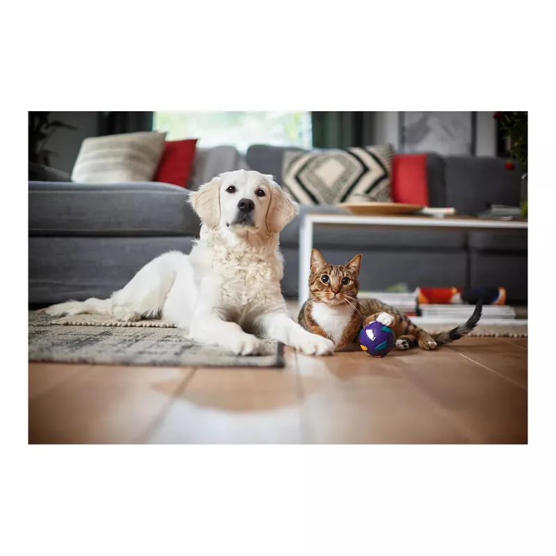 Philips PowerPro Expert aspirapolvere senza sacchetto FC9729/09