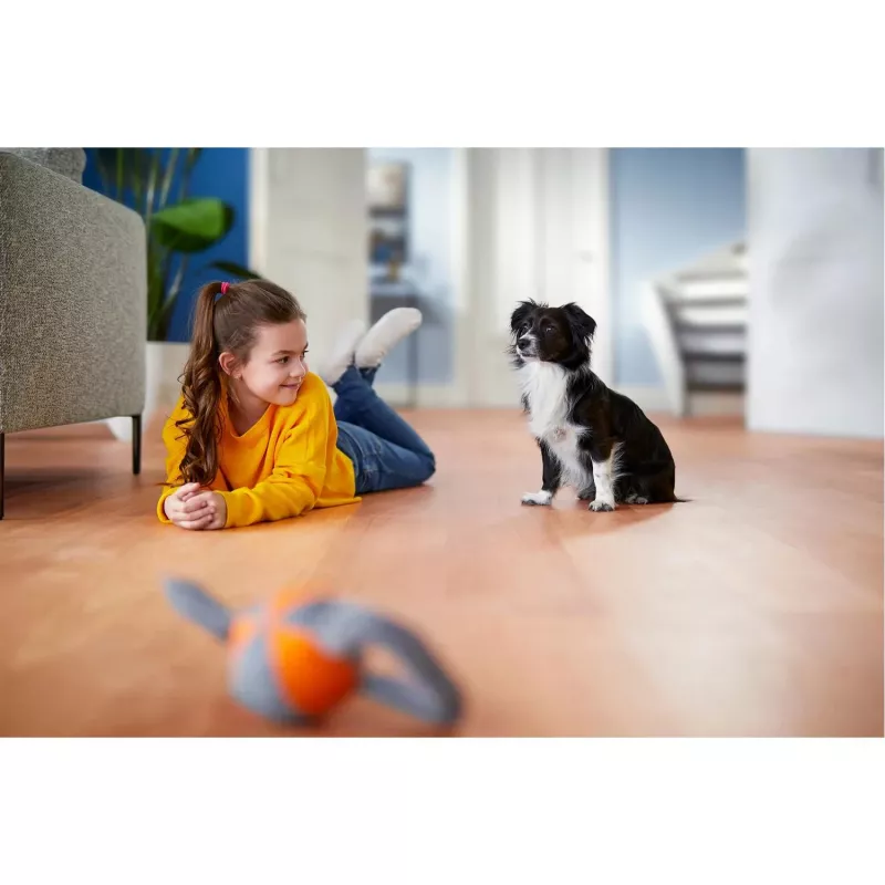 Philips PowerPro Expert aspirapolvere senza sacchetto FC9729/09