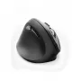 Hama EMW-500L mouse Office per mancini RF Wireless ottico 1800 DPI
