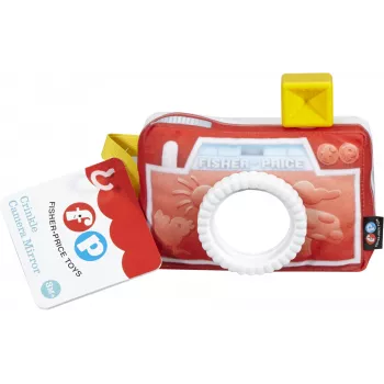 Fisher-Price Everything Baby DFR11 giocattolo educativo