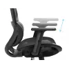 Sedia gaming Sandberg ErgoFusion peso massimo utente 150 kg