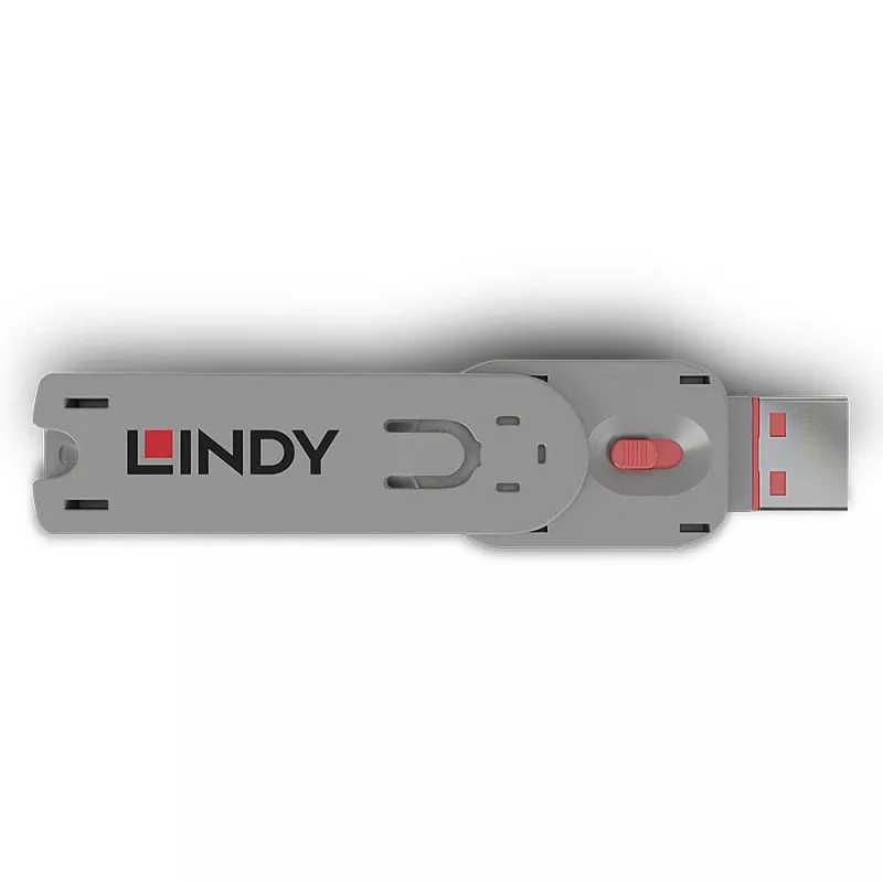 Chiave portblocker Lindy USB Type A Portblocker chiave rosa